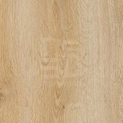 Trend Oak